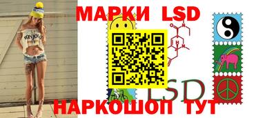 стаф Дубна