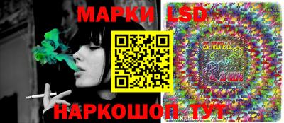 стаф Дубна