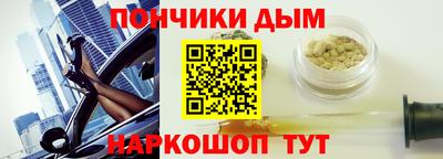стаф Дубна