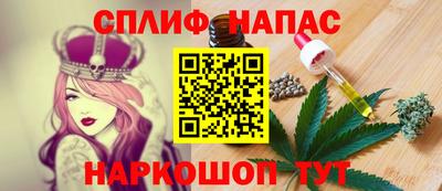 гашик Донской