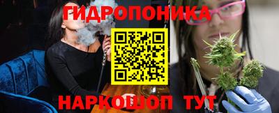 стаф Дубна