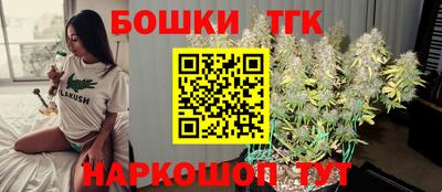 стаф Дубна