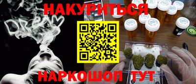 стаф Дубна