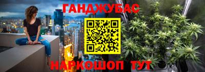 стаф Дубна