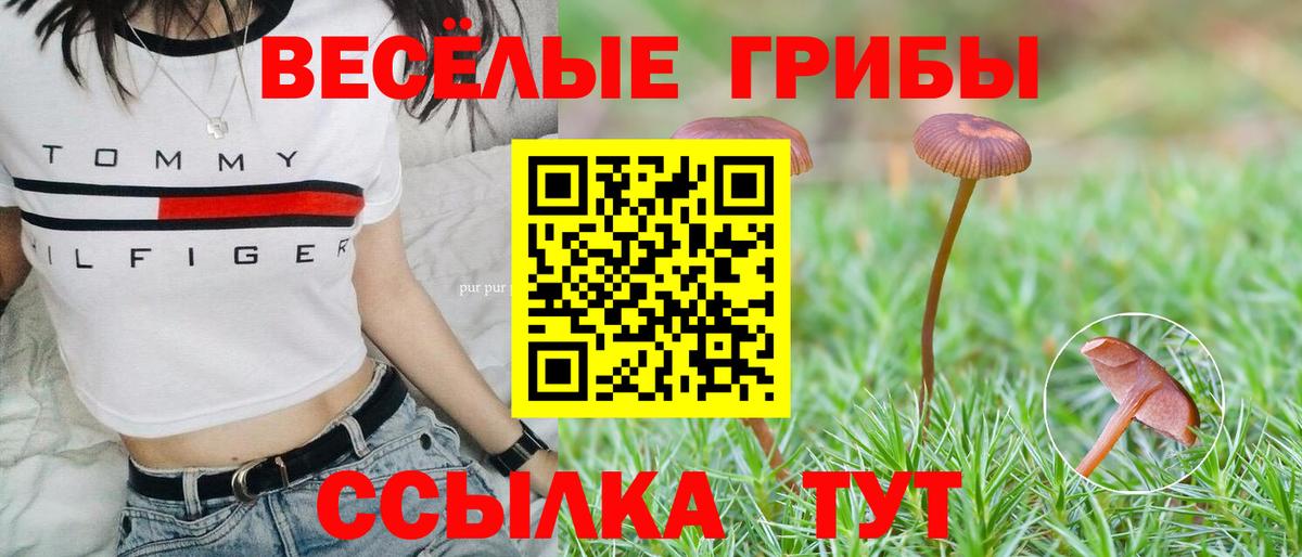Касимов  Псилоцибиновые грибы прущие грибы  Вход с VPN 