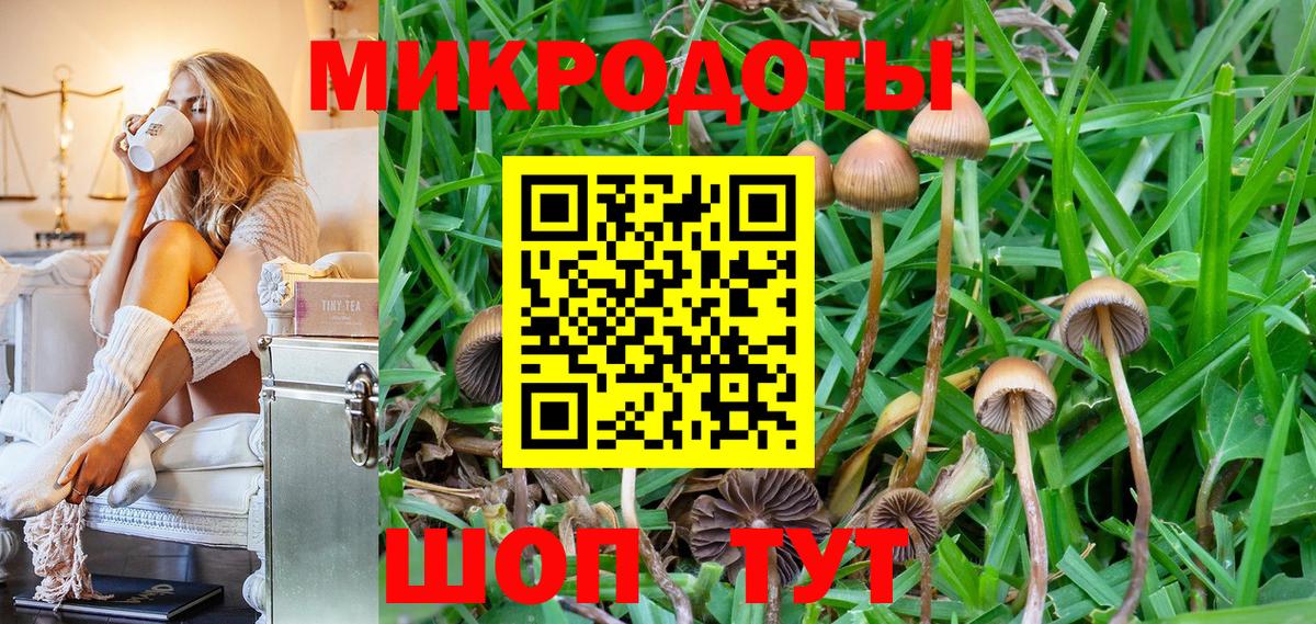 Галлюциногенные грибы Psilocybe Касимов